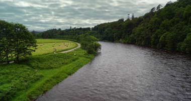 Craigellachie Köprüsü 'nden nehir manzarası