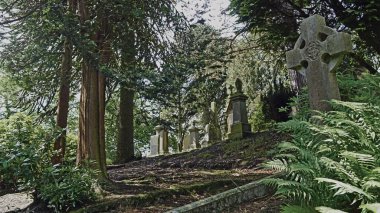 Dundee 'deki Balgay Mezarlığı ormanda bir tepede bulunan bir mezarlıktır..