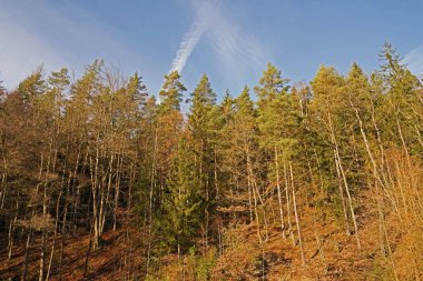 Almanya, Eisenberg 'deki değirmen vadisinde kış doğası