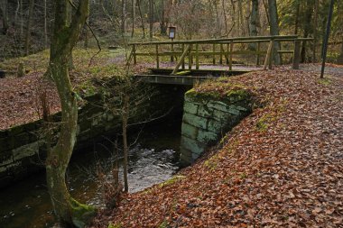 Almanya, Eisenberg 'deki değirmen vadisinde kış doğası