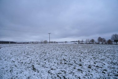 Almanya 'da bir kış mevsiminde yuvarlanan saman balyaları