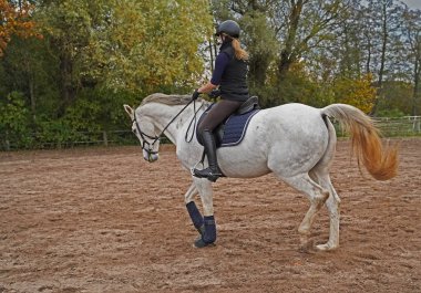 white horse  and rider training on a riding ground in Bavaria 
