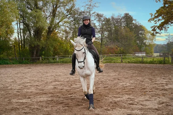 White Horse Rider Training Riding Ground Bavaria Stockbild