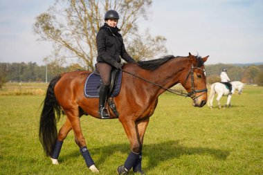 brown Rhineland gelding and rider riding on the meadow in Bavaria extra for a photo shoot.