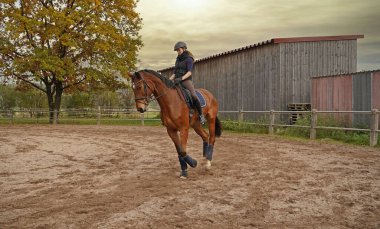 brown Rhineland gelding and rider training on a riding ground in Bavaria