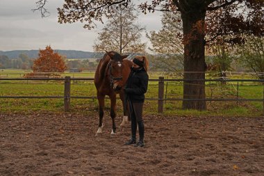 Shooting with brown Rhineland gelding and her rider 