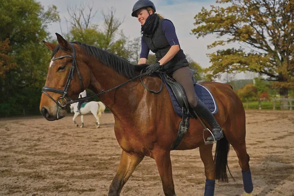 brown Rhineland gelding and rider training on a riding ground in Bavaria