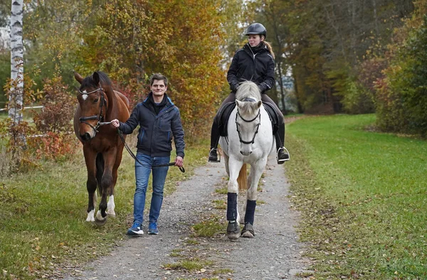 与棕色莱茵兰明胶 白色母马 她的骑手和朋友射击 图库图片
