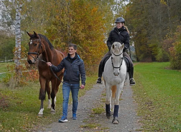 与棕色莱茵兰明胶 白色母马 她的骑手和朋友射击 免版税图库照片