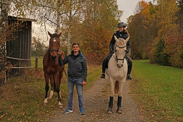 与棕色莱茵兰明胶 白色母马 她的骑手和朋友射击 免版税图库图片