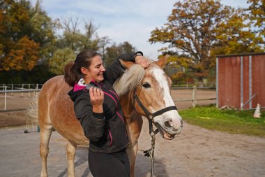Preparation of light brown Haflinger with beige mane before training, from grooming to saddling