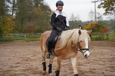 light brown Haflinger with beige mane and rider training on a riding ground in Bavaria 