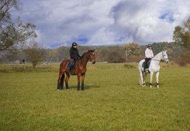 Shooting with horses and riders in autumn in bavaria
