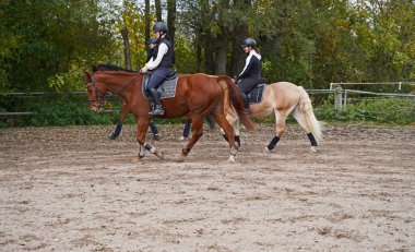 Shooting with horses  - Oldenburg mare  and Rhinelander gelding  - and riders,Haflinger in autumn in bavaria clipart