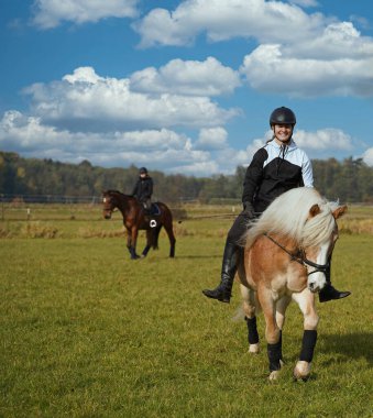 Shooting with horses  - Haflinger and Rhinelander - and riders in autumn in bavaria