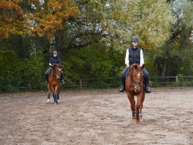 Shooting with horses  - Oldenburg mare, Rhinelander gelding and white horse - and riders in autumn in bavaria clipart