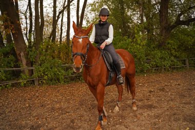 red-brown Oldenburg mare and rider training on the riding ground in Bavaria 