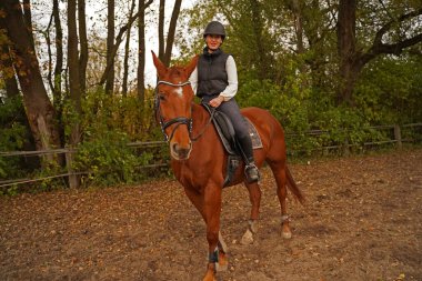 red-brown Oldenburg mare and rider training on the riding ground in Bavaria 