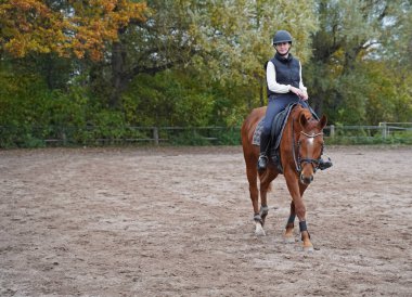 red-brown Oldenburg mare and rider training on the riding ground in Bavaria 