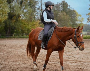Training with the red-brown Oldenburg mare on a riding arena in autumn