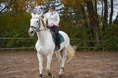 white horse and rider training on a riding ground in Bavaria 
