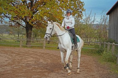 white horse and rider training on a riding ground in Bavaria