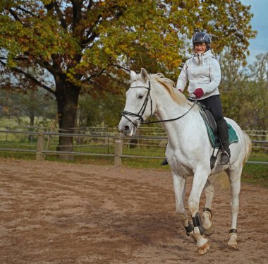 white horse and rider training on a riding ground in Bavaria