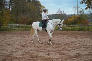 white horse and rider training on a riding ground in Bavaria