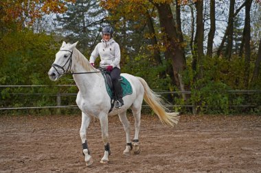 white horse and rider training on a riding ground in Bavaria 