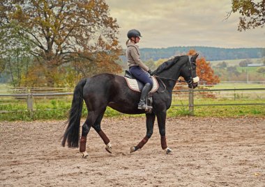 black horse and rider training on a riding ground in Bavaria