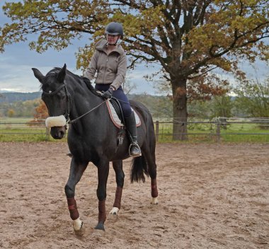 black horse and rider training on a riding ground in Bavaria