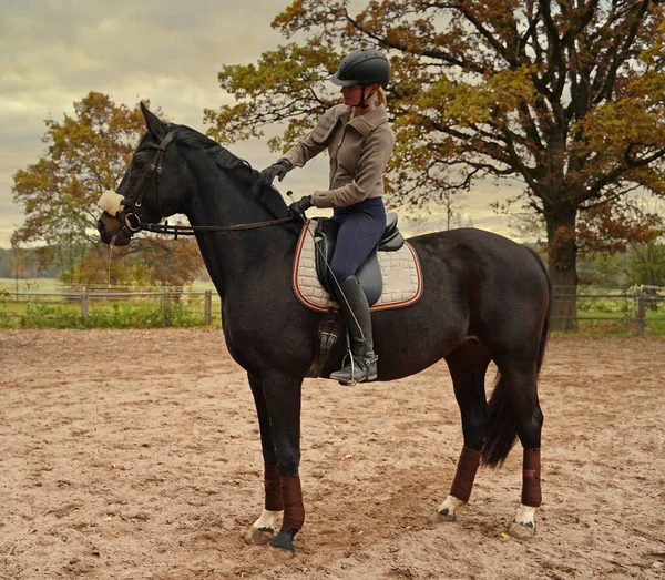 black horse and rider training on a riding ground in Bavaria