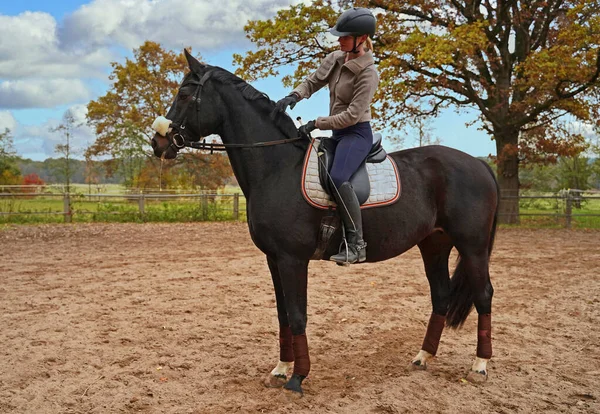 black horse and rider training on a riding ground in Bavaria