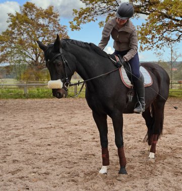 black horse and rider training on a riding ground in Bavaria