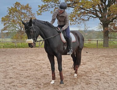 black horse and rider training on a riding ground in Bavaria