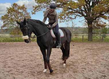 black horse and rider training on a riding ground in Bavaria
