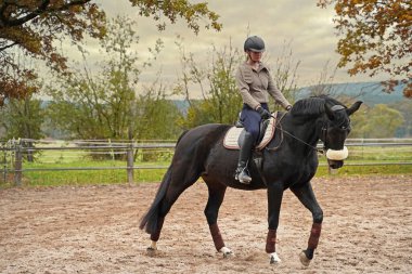 black horse and rider training on a riding ground in Bavaria clipart