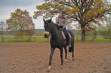 black horse and rider training on a riding ground in Bavaria 