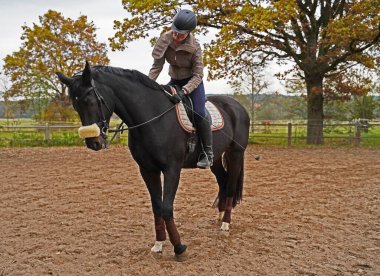 black horse and rider training on a riding ground in Bavaria 