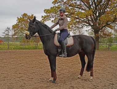 black horse and rider training on a riding ground in Bavaria 