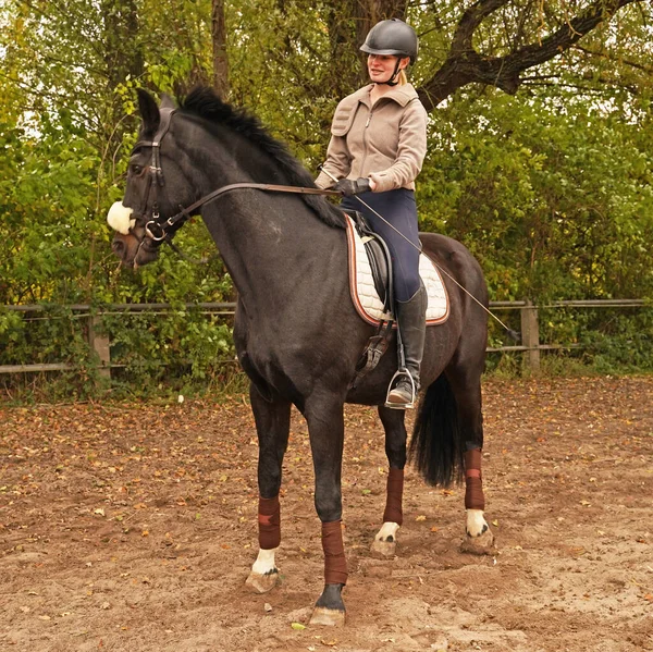 black horse and rider training on a riding ground in Bavaria