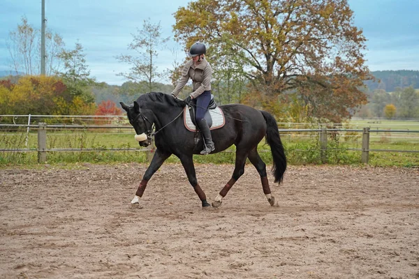 Black Horse Rider Training Riding Ground Bavaria Imagen De Stock