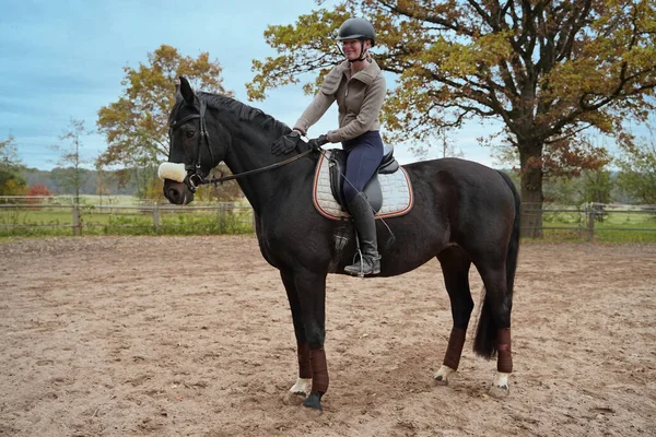 Black Horse Rider Training Riding Ground Bavaria Stockbild