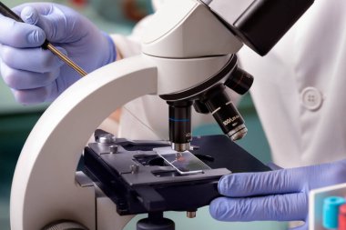 Bilimadamı mikroskopist laboratuvarda mikro aşılama döngüsüyle biyolojik testi inceliyor. Mikrobiyoloji laboratuvarında mikroskop ve numunelerle çalışan hematolog.