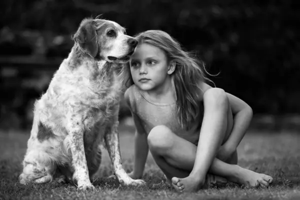 Маленькая Девочка Сидит Траве Своей Собакой Стоковая Картинка