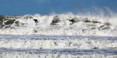 Güneşli bir günde sahilde sörf yapan bir sörfçü.