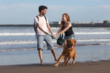 Genç çift güneşli yaz gününde köpeklerini kumsalda gezdiriyorlar.