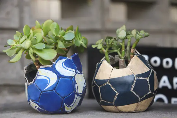 Yeniden kullanılmış ekici fikirleri. Eski futbol topu çiçek saksılarına dönüşür. Geri dönüştürülmüş bahçe tasarımı ve düşük atık yaşam tarzı.