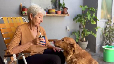 Yerba Mate 'in evinde eğlenen ve köpeğiyle bağ kuran son sınıf öğrencisi mutlu bir kadın. 