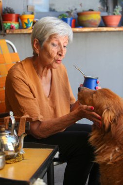 Yerba Mate 'in evinde eğlenen ve köpeğiyle oynayan son sınıf öğrencisi mutlu kadın.